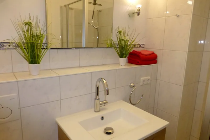 Waschbecken mit Ablage, Grünpflanzen und roten Handtüchern, daneben die Glaswand der Dusche