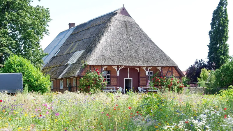 Reetgedecktes Bauernhaus in Bendfeld hinter blühender Wiese