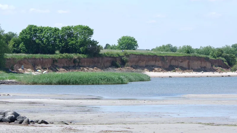 Abbruchkante der Steilküste mit Bäumen über einem flachen Strandabschnitt