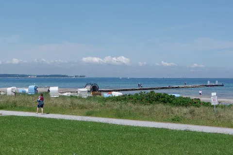 Wiese am Deich, dahinter Strand, die Mole und die Ostsee