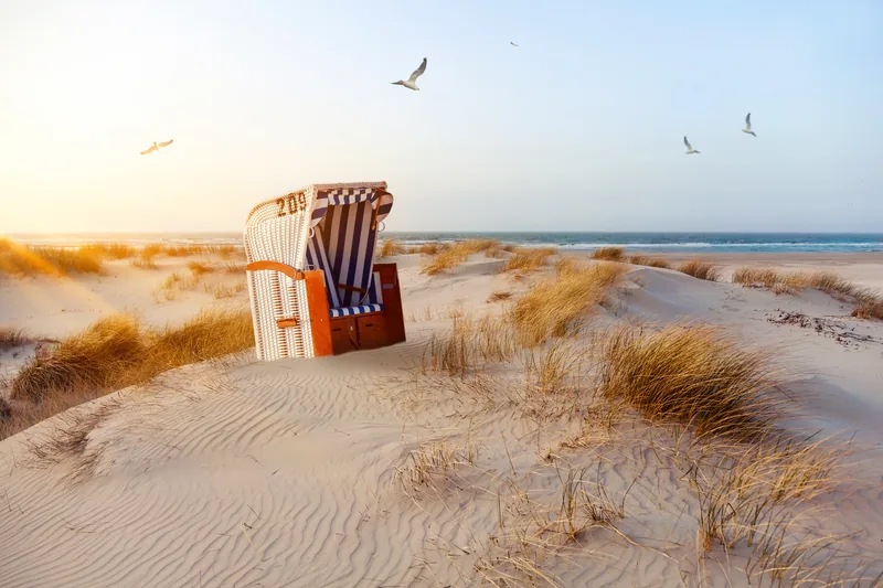 Blau-weiß gestreifter Strandkorb zwischen Dünengras im Abendlicht, darüber Möwen, dahinter die Ostsee